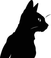 Singapura Cat  silhouette portrait vector