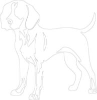 americano Foxhound contorno silueta vector