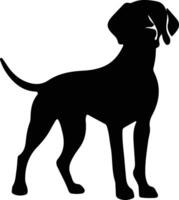 German Shorthaired Pointer   black silhouette vector