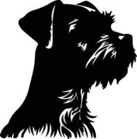 Border Terrier   black silhouette vector