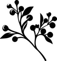 Mistletoe  black silhouette vector