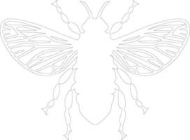 cicada outline silhouette vector