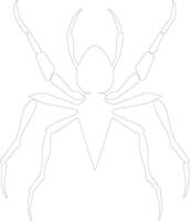 assassin bug outline silhouette vector