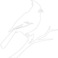 cardenal contorno silueta vector