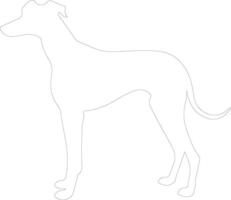 galgo contorno silueta vector