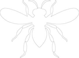 hornet  outline silhouette vector