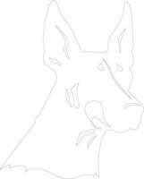 Doberman Pinscher  outline silhouette vector