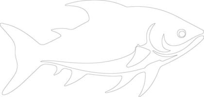 tarpon outline silhouette vector