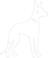 Doberman Pinscher  outline silhouette vector