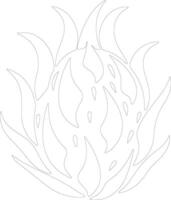 dragon fruit  outline silhouette vector