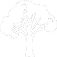 broccoli  outline silhouette vector