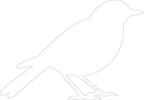 blackbird  outline silhouette vector