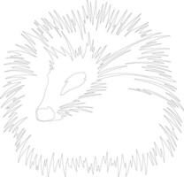 porcupine    outline silhouette vector