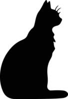 Black cat  black silhouette vector