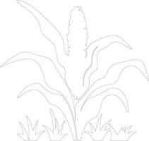 maíz contorno silueta vector