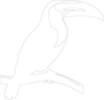 keel-billed toucan  outline silhouette vector