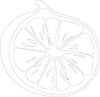 grapefruit  outline silhouette vector