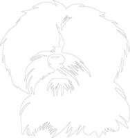 Havanese  outline silhouette vector