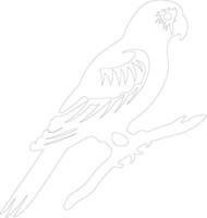lorikeet  outline silhouette vector