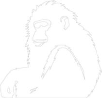 babuino contorno silueta vector