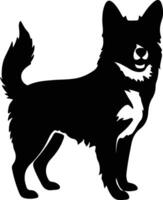 Swedish Vallhund   black silhouette vector