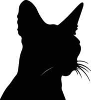 Abyssinian Cat  silhouette portrait vector