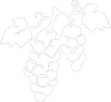 raisin  outline silhouette vector