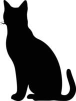 burmilla gato negro silueta vector