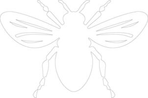 cicada outline silhouette vector