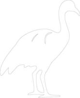 dodo   outline silhouette vector