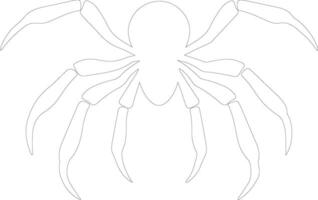 tarántula contorno silueta vector