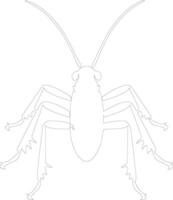 katydid  outline silhouette vector