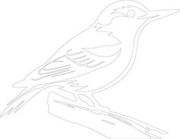 white-breasted nuthatch  outline silhouette vector