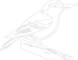 white-breasted nuthatch  outline silhouette vector