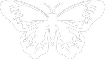 polilla contorno silueta vector