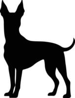 Manchester Terrier    black silhouette vector