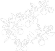 crabapple  outline silhouette vector