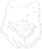 Pomeranian outline silhouette vector