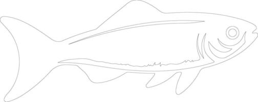 minnow  outline silhouette vector