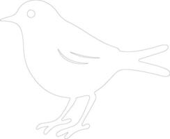 American Robin  outline silhouette vector