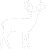 white-tailed deer  outline silhouette vector