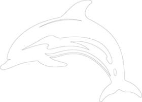 delfín manchado contorno silueta vector