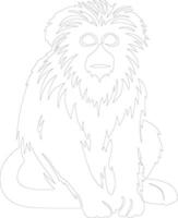 marmoset  outline silhouette vector