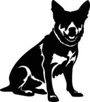 Australian Cattle Dog   black silhouette vector