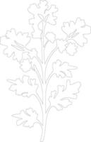 arugula  outline silhouette vector