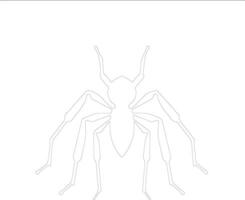 assassin bug  outline silhouette vector