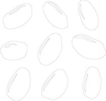 lima bean outline silhouette vector