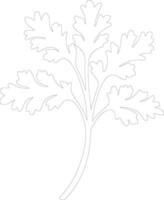 parsley  outline silhouette vector