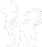 Chinese Crested  outline silhouette vector