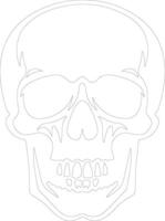 scull  outline silhouette vector